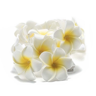 LED lyskæde med frangipani